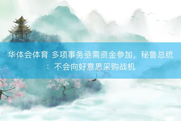 华体会体育 多项事务亟需资金参加，秘鲁总统：不会向好意思采购战机